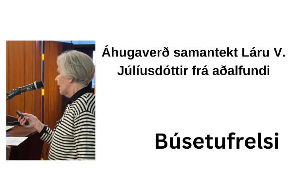 Áhugaverð samantekt Láru V. Júlíusdóttir frá aðalfundi
